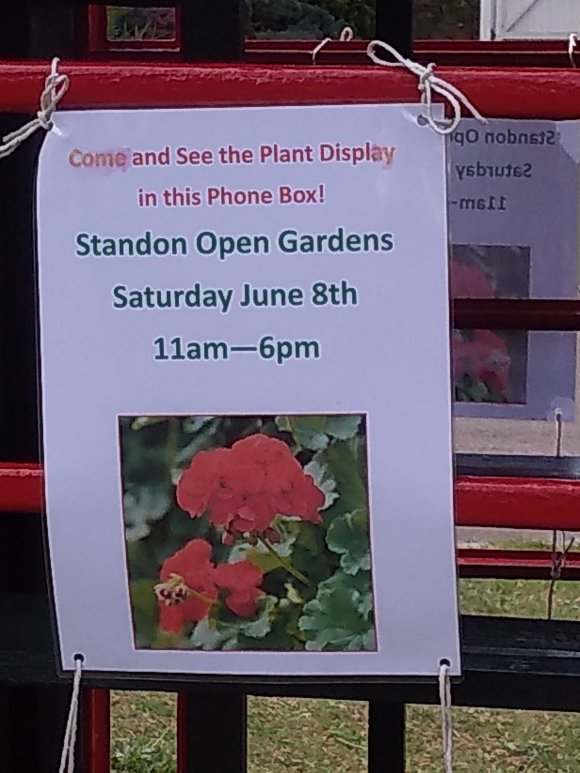 Open Gardens Phone Box Standon High Street 